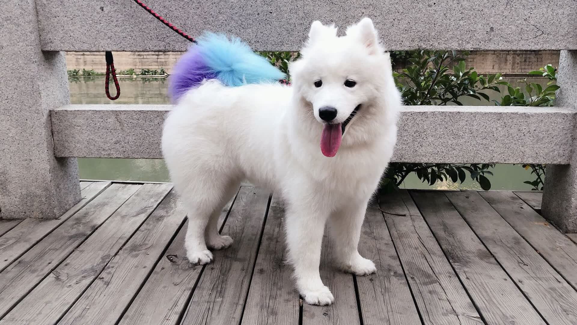 云计算专业是学什么（云计算应用专业是干什么的）